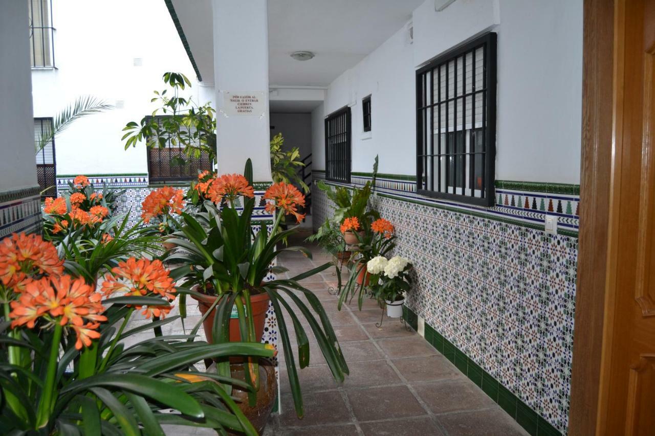 Nuevo Sueno Del Alcazar Lägenhet Córdoba Exteriör bild