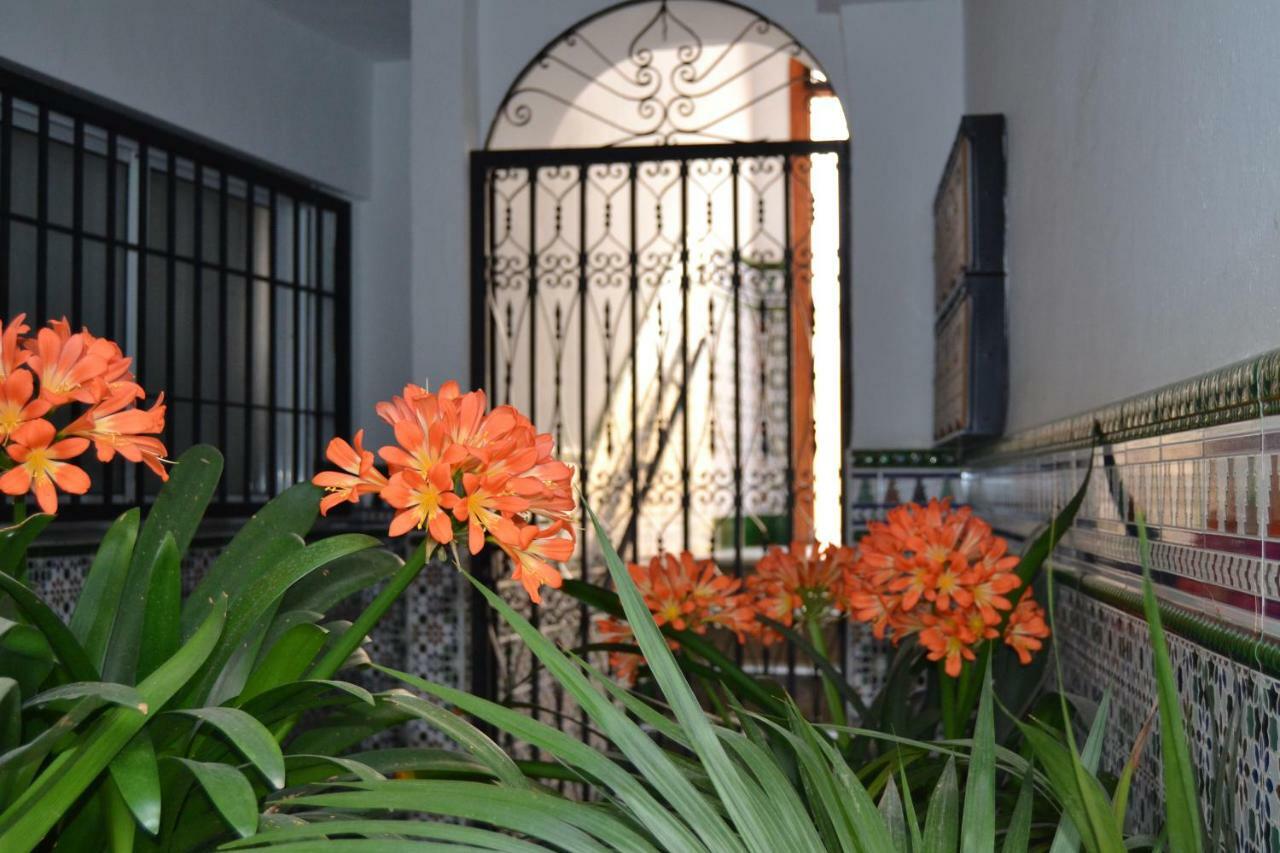 Nuevo Sueno Del Alcazar Lägenhet Córdoba Exteriör bild